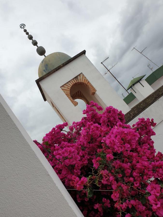 Entre 2 Mezquitas Apartamento 8 Cordoba Dış mekan fotoğraf