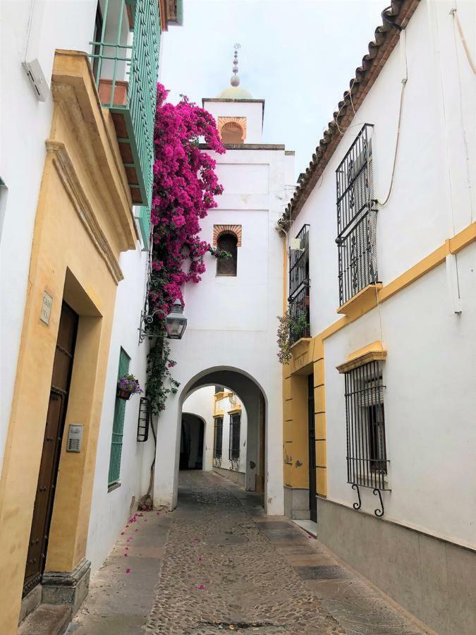 Entre 2 Mezquitas Apartamento 8 Cordoba Dış mekan fotoğraf